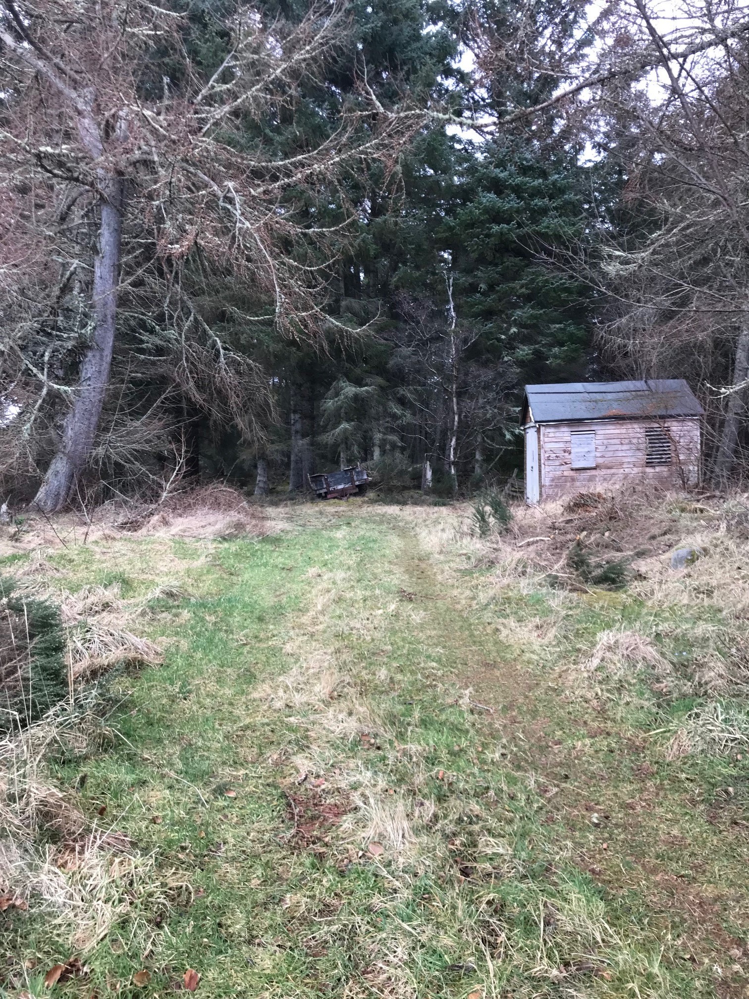 Woodland Embo Street